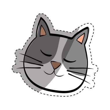 Şirin kedi çizgi filmi.