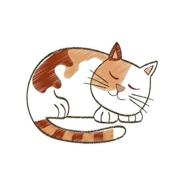 Dessin animé mignon chat — Image vectorielle