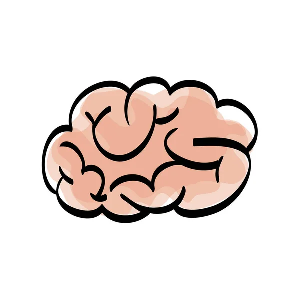 인간의 두뇌 낙서 — 스톡 벡터