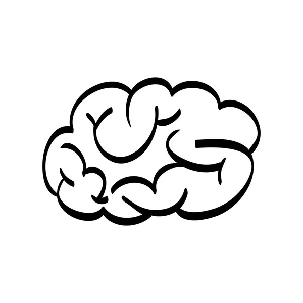 Cérebro humano rabisco —  Vetores de Stock