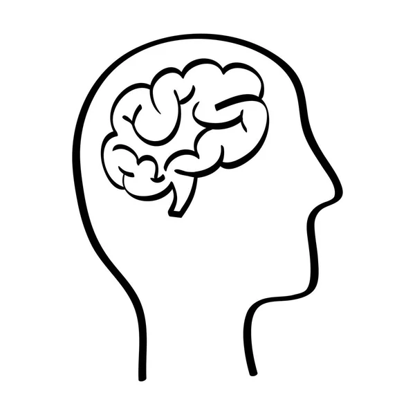 Ludzki mózg i głowa sylwetka — Wektor stockowy