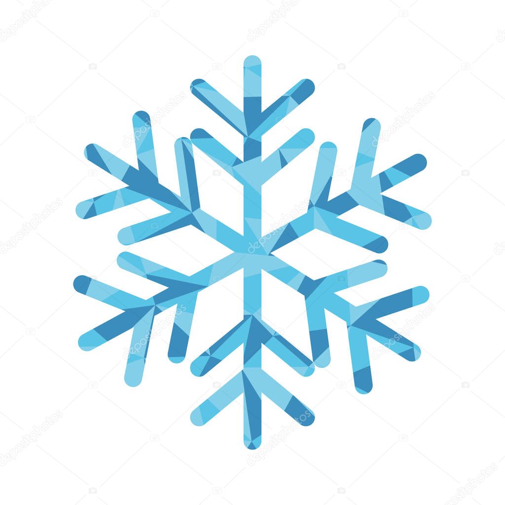 Winter snowflake icon