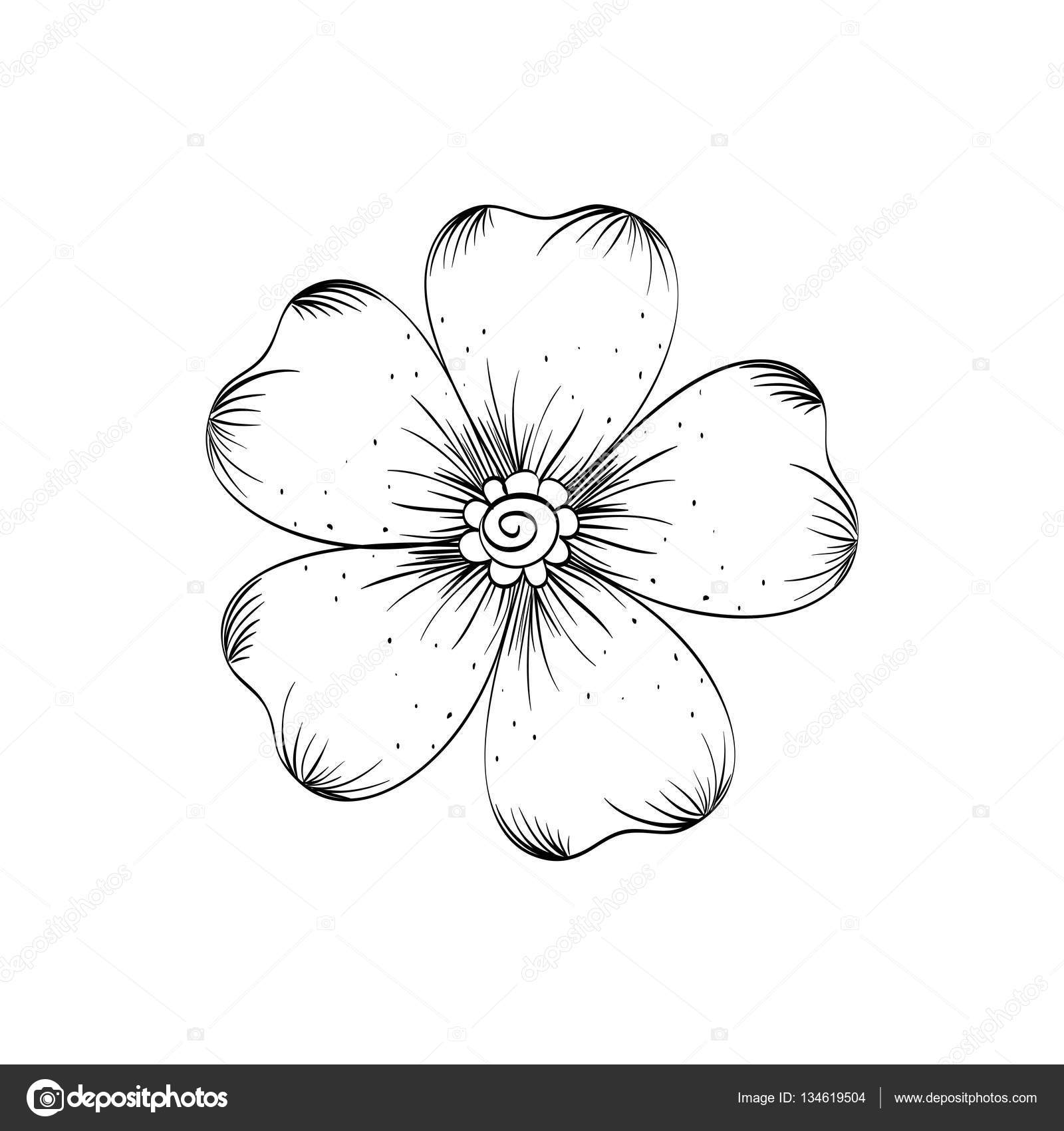 Schöne Blume in schwarz / weiß — Stockvektor © djv #134619504