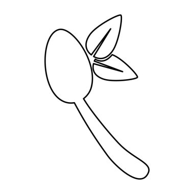 Doğal gıda Gastronomi