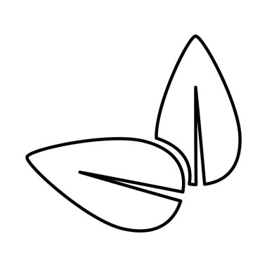 İzole doğal yaprakları