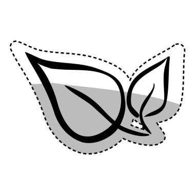 İzole doğal yaprakları