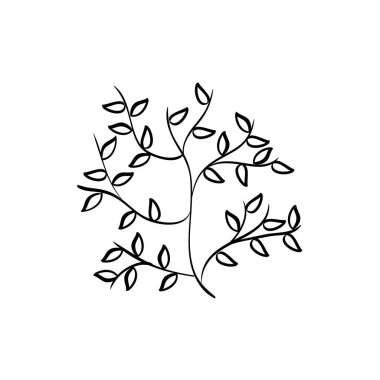 Siyah beyaz güzel yaprakları