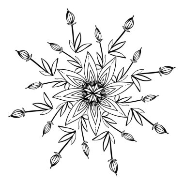 Siyah beyaz güzel çiçek