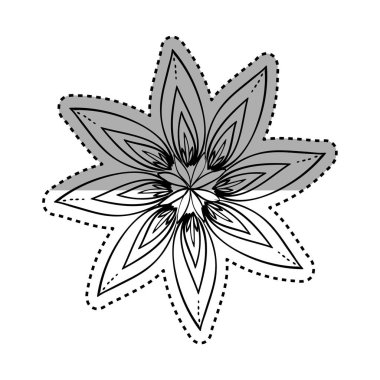 Siyah beyaz güzel çiçek