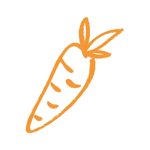 ผักแครอทสด — ภาพเวกเตอร์สต็อก