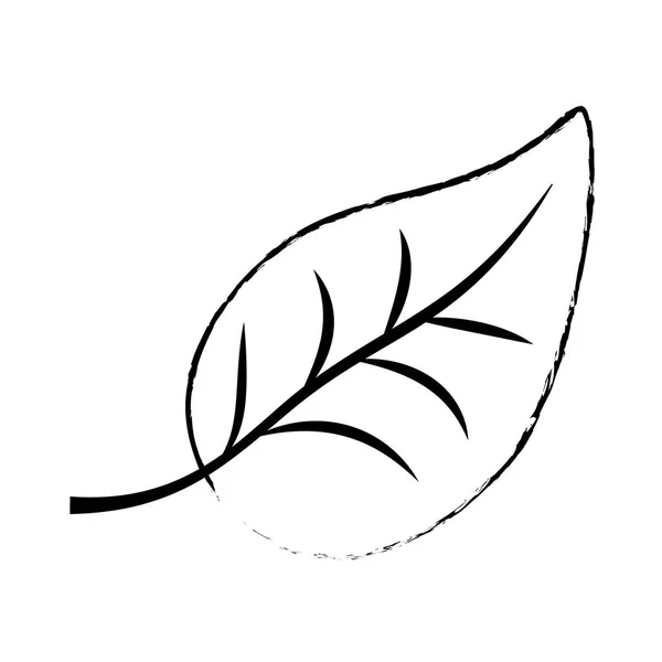 Изолированный натуральный лист — стоковый вектор