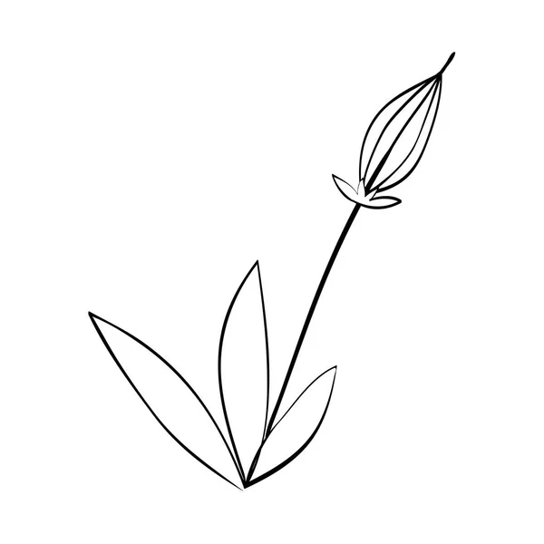 Belle fleur en noir et blanc — Image vectorielle