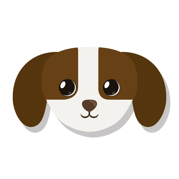 Pet related icon image — Stock Vector