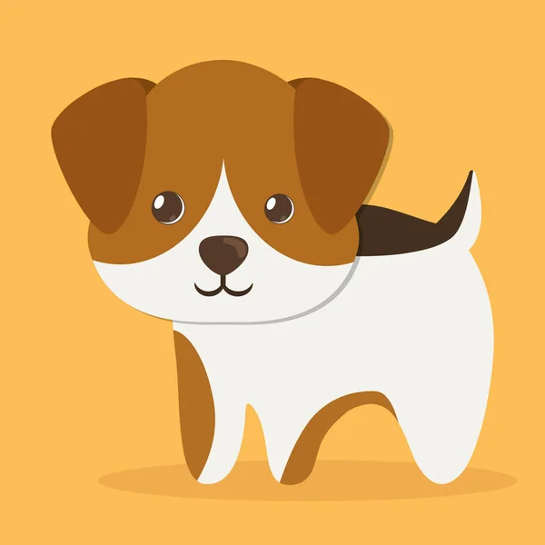 Pet icon image — Stock Vector