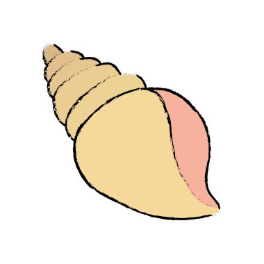 Deniz kabuğu yaratık