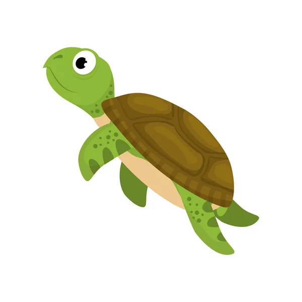 Marine turtle cartoon — Stockvector