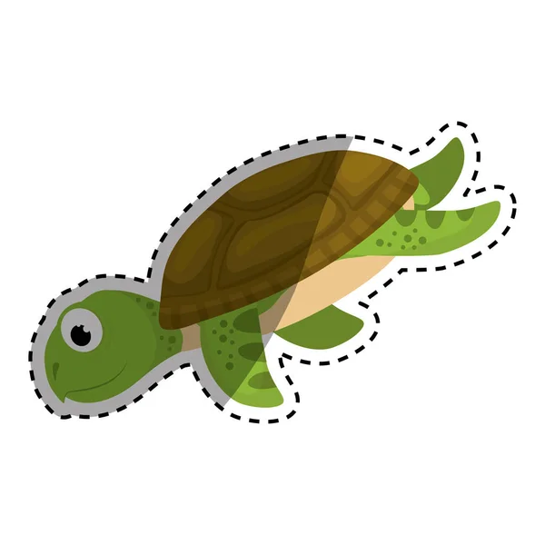 Tengeri teknős rajzfilm — Stock Vector