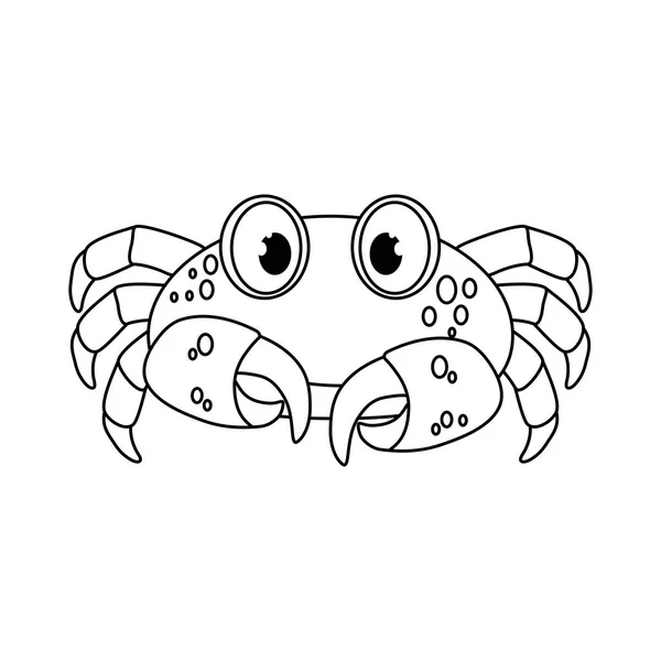 Marine crab cartoon — Stock Vector