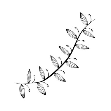 Siyah beyaz dekoratif yaprakları