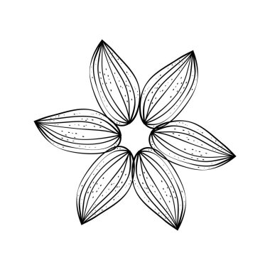 Siyah beyaz güzel çiçek