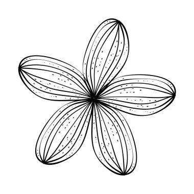 Siyah beyaz güzel çiçek