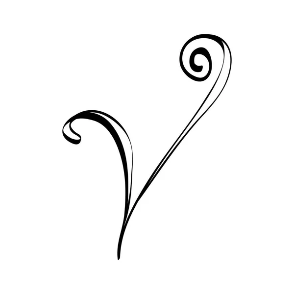 Decorative swirl line — Stock Vector