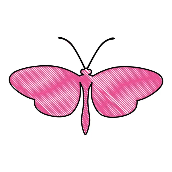 Silueta de mariposa icono de imagen — Vector de stock