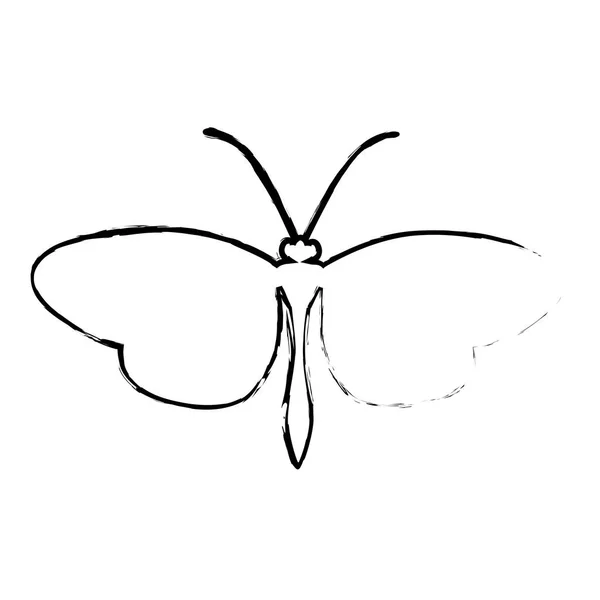 Silhouette papillon icône image — Image vectorielle