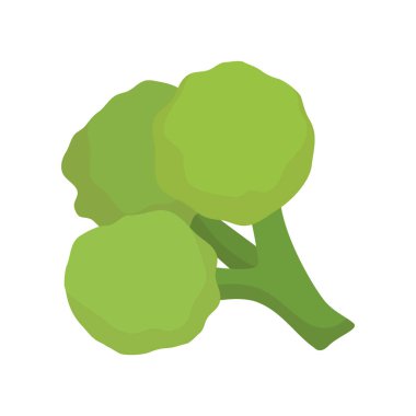 Taze brokoli sebzesi