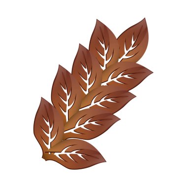 Yaprakları doğal kavramı