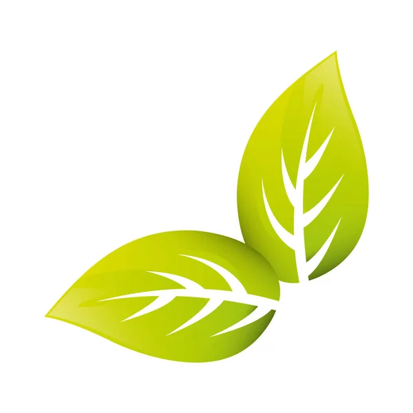 잎 자연 개념 — 스톡 벡터