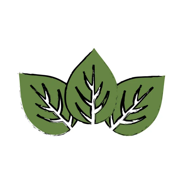 Φυσική έννοια φύλλα — Διανυσματικό Αρχείο