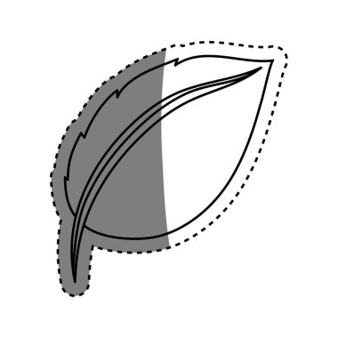 Yaprak doğal kavramı