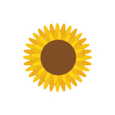 Güzel çiçek bitki