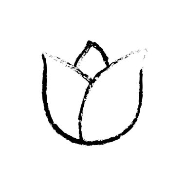 Güzel çiçek bitki