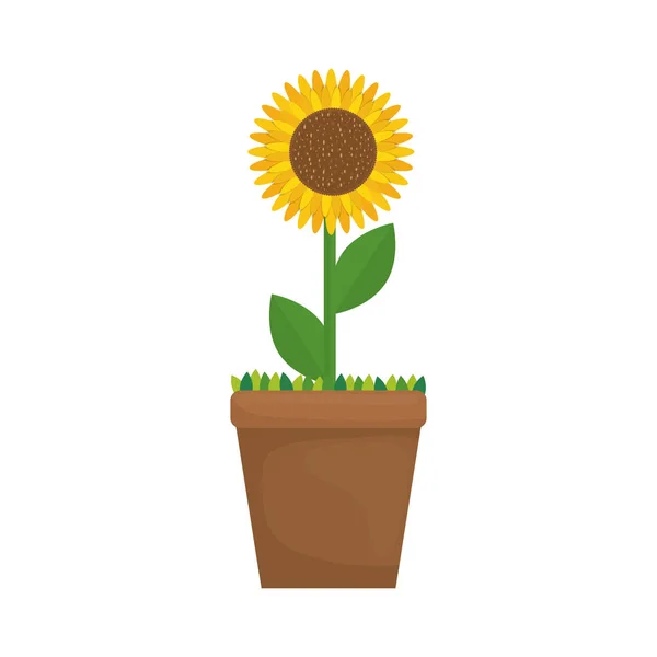 Hermosa planta de flores — Vector de stock