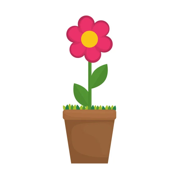 Piękny kwiat roślin — Wektor stockowy