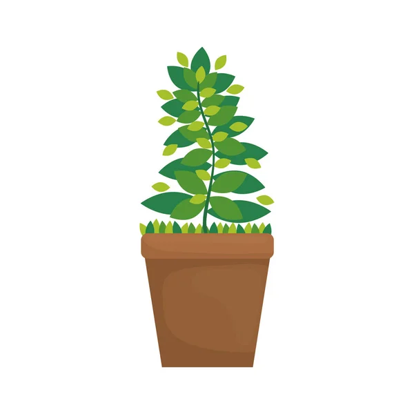 Plant laat tuinieren — Stockvector