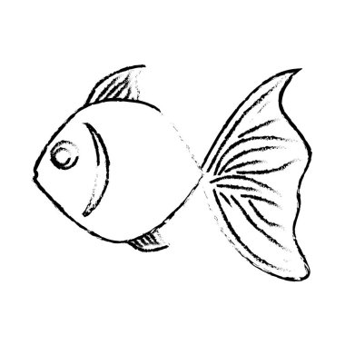 deniz balık simgesi