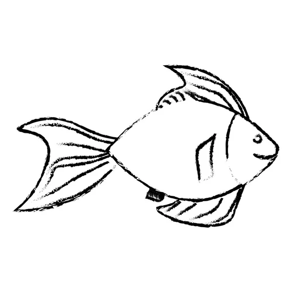 海魚アイコン — ストックベクタ