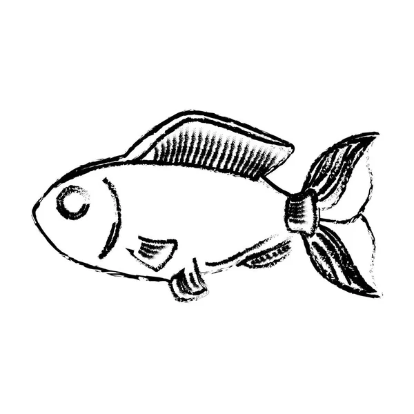 Icono de pescado marino — Archivo Imágenes Vectoriales