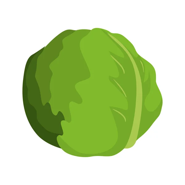 Lechuga icono vegetal — Vector de stock
