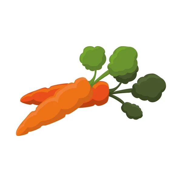 Carotte légume icône — Image vectorielle