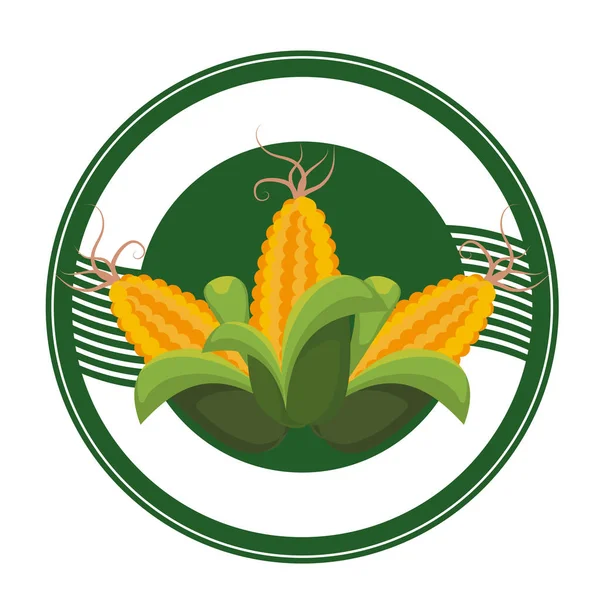 Ícone vegetal de milho — Vetor de Stock