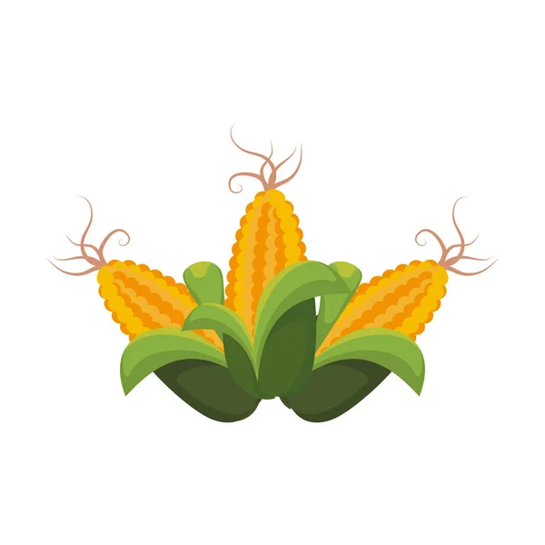 Corn vegetabiliska ikonen — Stock vektor