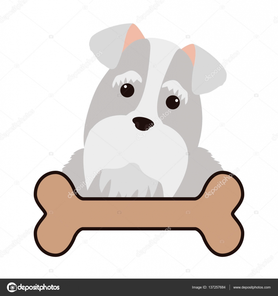 最新のhd骨 イラスト かわいい 無料イラスト集