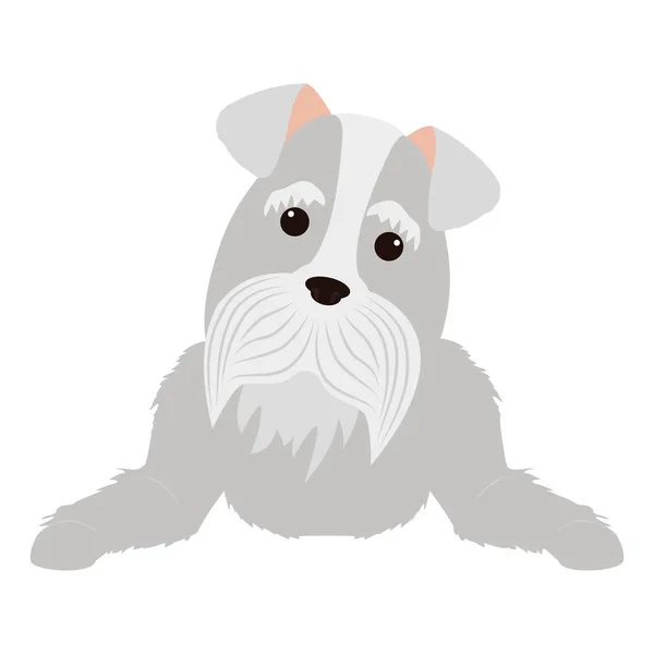 Icône de dessin animé chien mignon — Image vectorielle