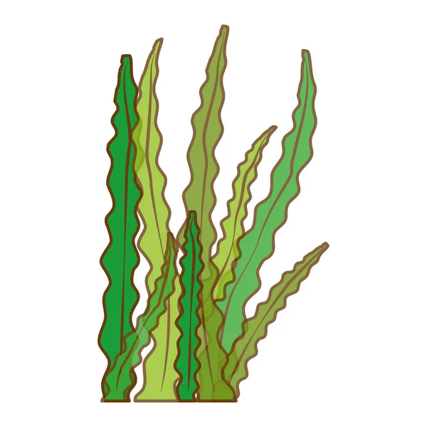 Algae or seaweed icon image — Stock Vector