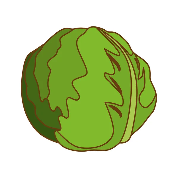 Imagen icono vegetal — Vector de stock