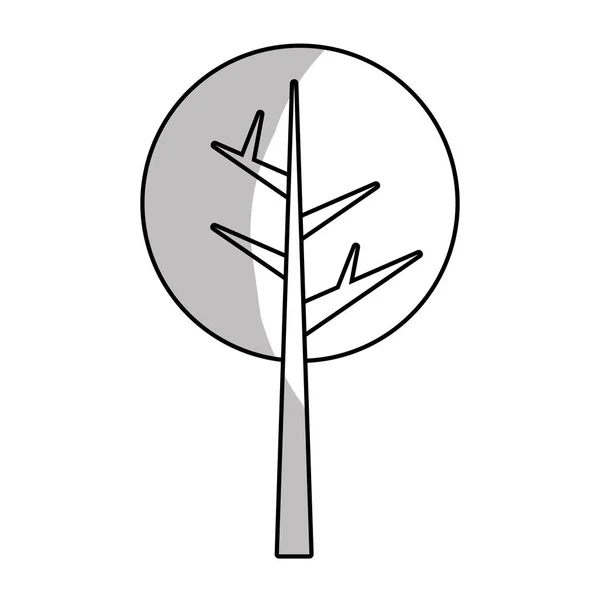 Tree tall plant icon — Stock Vector